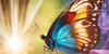 Living with Purpose | Devotional Experience