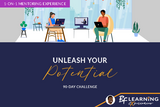 Unleash Your Potential 90-Day Challenge | 1-on-1 Mentoring Experience